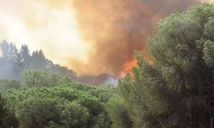 Caldo record scuote il sud, Sicilia e Calabria le più colpite. Nei prossimi giorni l’ondata al Nord